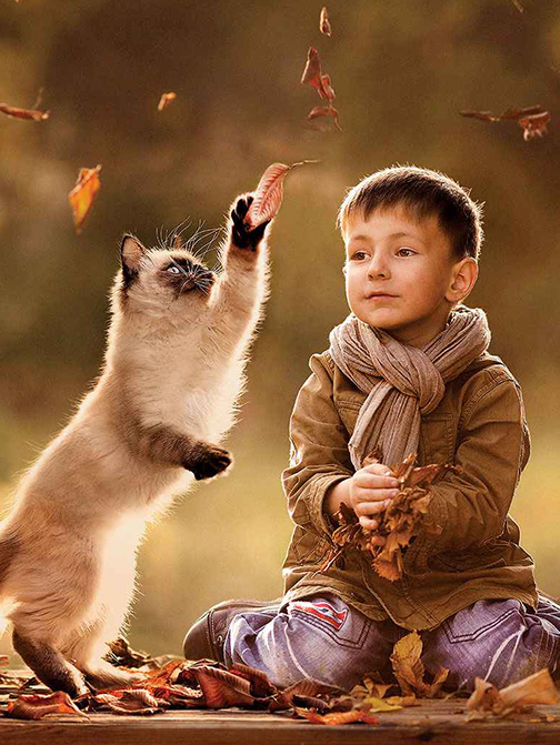 U乐·国际(中国)官方网站