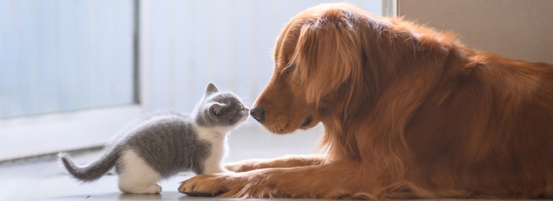 U乐·国际(中国)官方网站