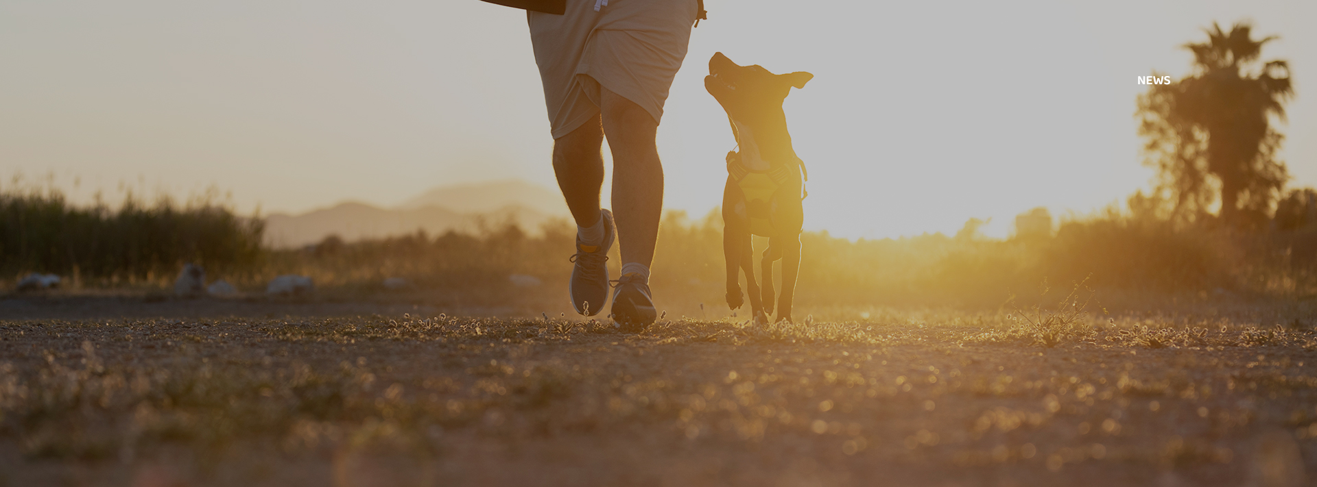 U乐·国际(中国)官方网站