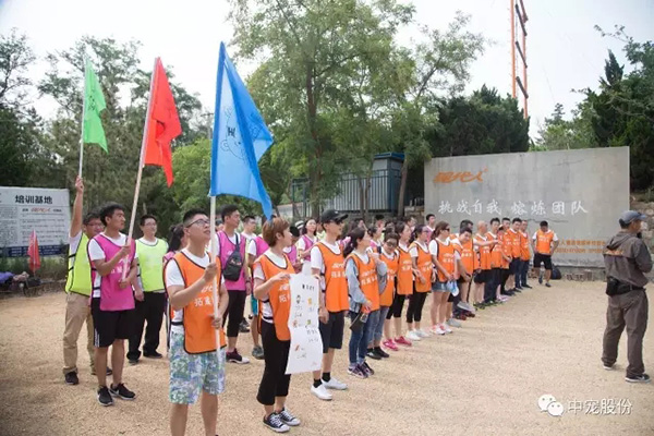 93d5f607c42d4ce2b62149600d1954e0