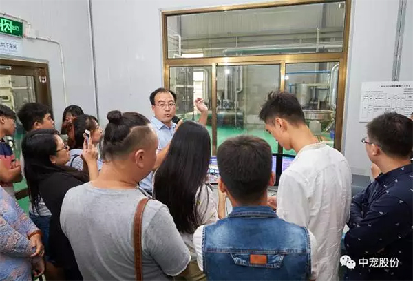 ff7ad73e8b254538b506fdffdad3be2c