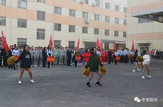 95d2b2bf1cf3456ca8eb5d0ef70003a9