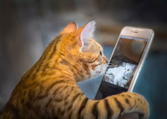 0494c23652ef40a7b0308e8ff367f3a0