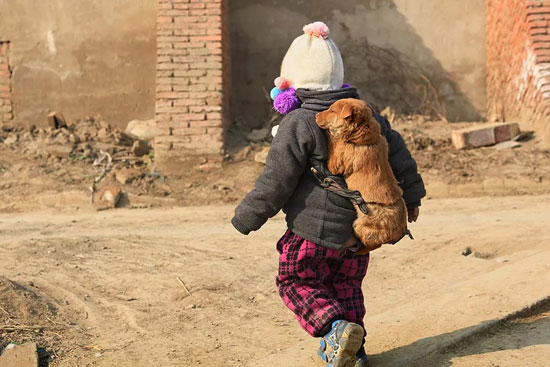 U乐·国际(中国)官方网站