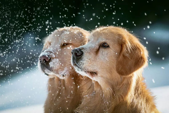 aa655d06325e47969f1279fed10f20d4