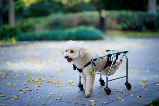 aaa4b5b54e3b479389c053f8ec07549c