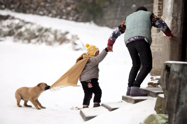 dba8f055a6a3497fa3743c715d6700ee