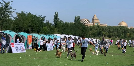 fbd46b7fd50143a4909f9dca29929e35