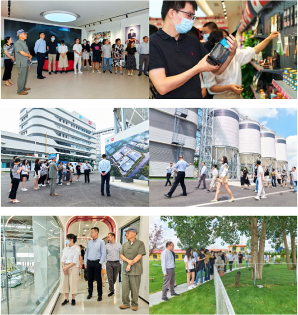 039c7516e9b449e1bc4a6a6b826b8c6f