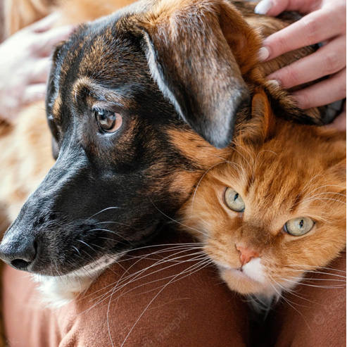 U乐·国际(中国)官方网站