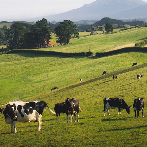 U乐·国际(中国)官方网站