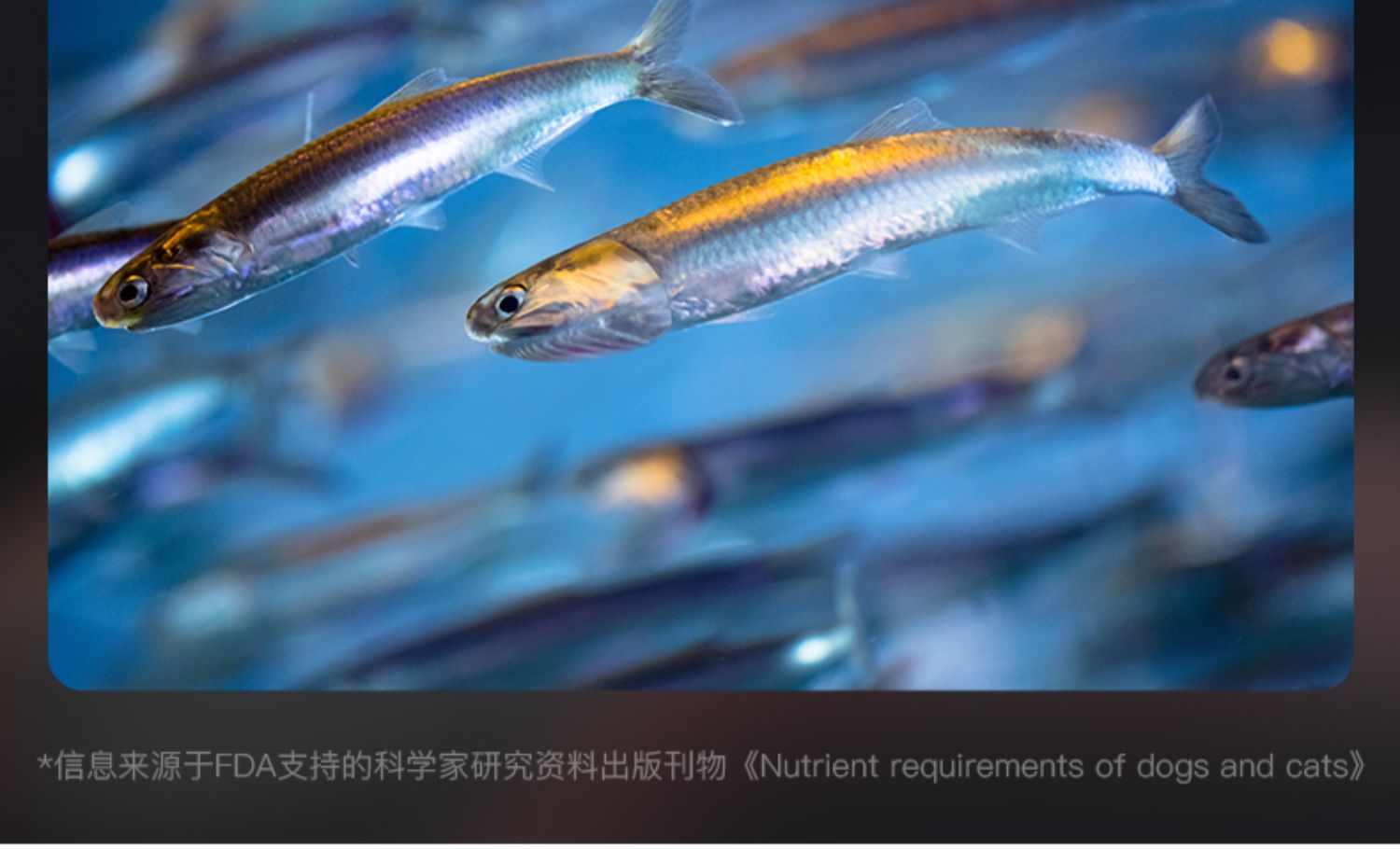 bdc42ba37c284004bcd95688da33e998