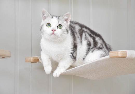 U乐·国际(中国)官方网站