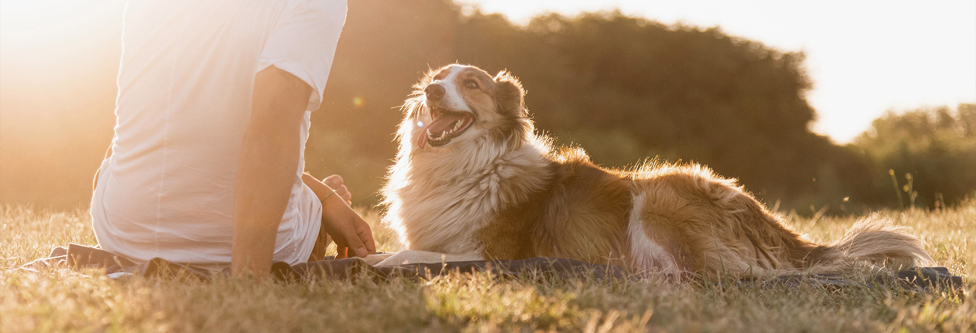 U乐·国际(中国)官方网站