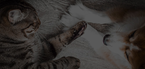 U乐·国际(中国)官方网站