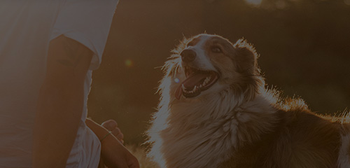 U乐·国际(中国)官方网站