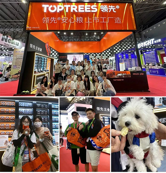 2e472bf529584063a2a0d34b429dc94c