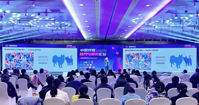 d9711cf7603646348b5410d2e92d39ed