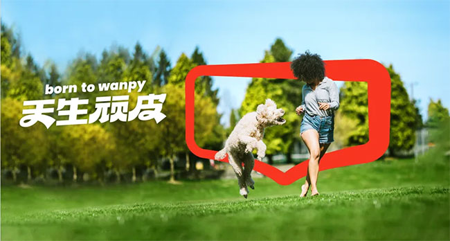 c517242e31e44cbe9c652bfd890d7072